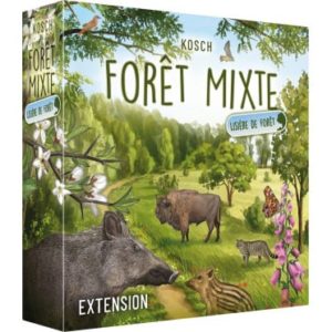 foret mixte lisiere de foret.jpg