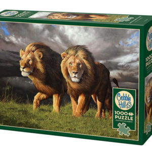 puzzle 1000pc approaching storm